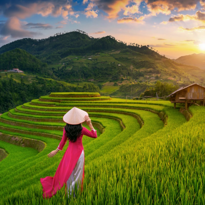 Femme asiatique portant la culture vietnamienne traditionnelle en terrasse de riz à Mu cang chai, Vietnam.