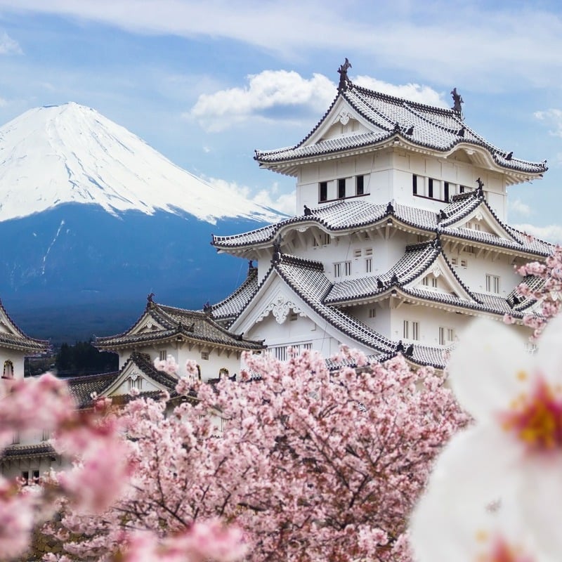 Couches supérieures du château de Himeji vu au milieu d'une mer de fleurs de cerisier avec le Mont Fuji en arrière-plan, Japon