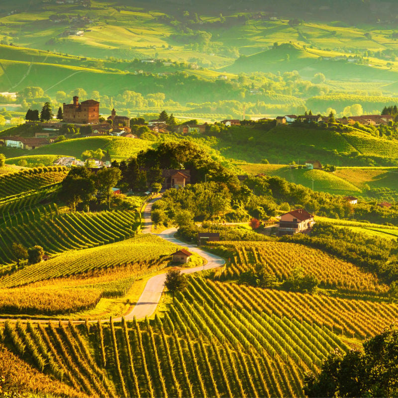 Panorama du coucher du soleil des vignobles des Langhe, Grinzane Cavour, site de l'Unesco, Piémont, Italie du Nord Europe.
